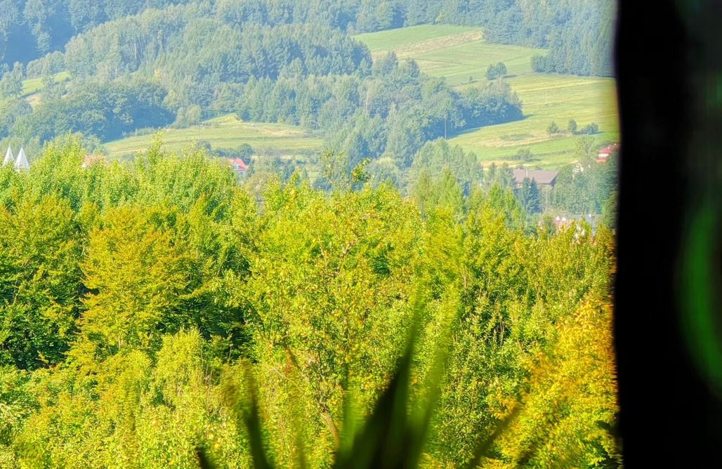 noclegi AlohaCamp Bieszczadzka Hawira  5