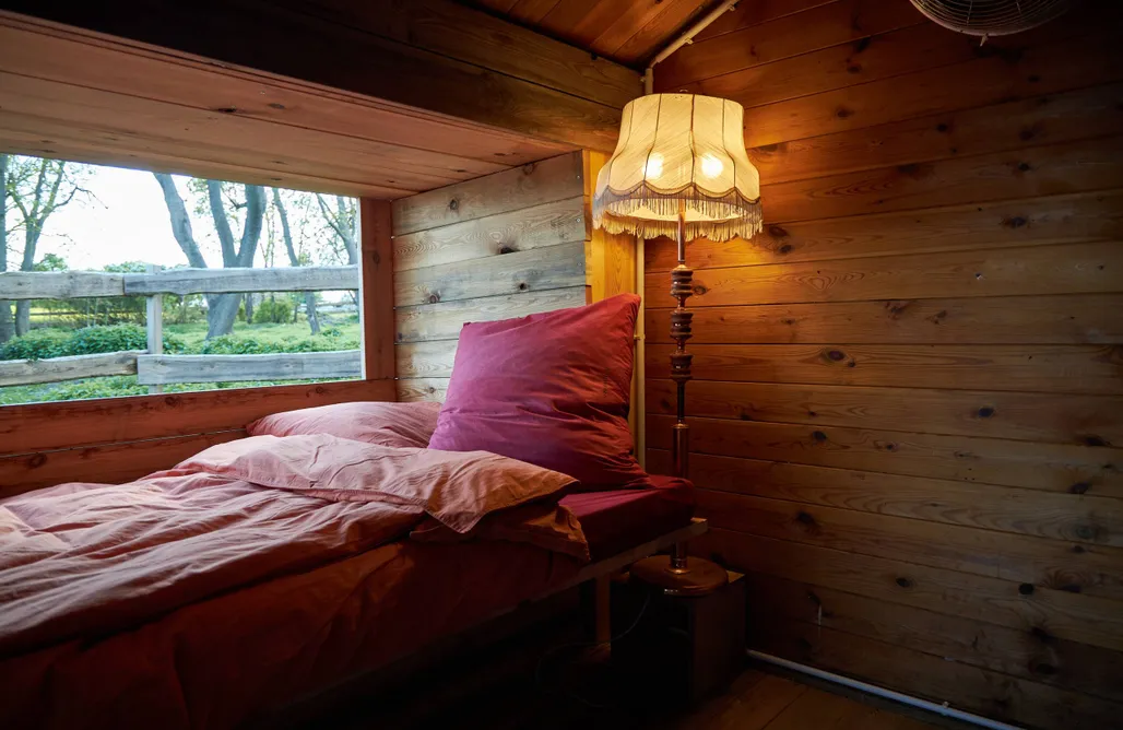 AlohaCamp Tiny House mit Pferdeblick 2