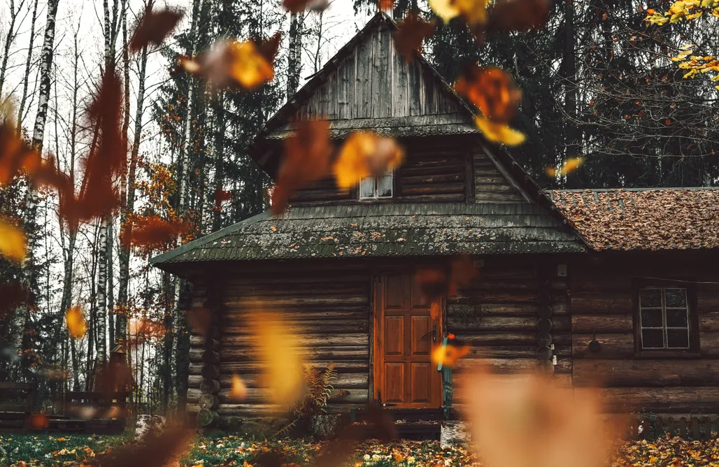 noclegi AlohaCamp Chatka w lesie 3