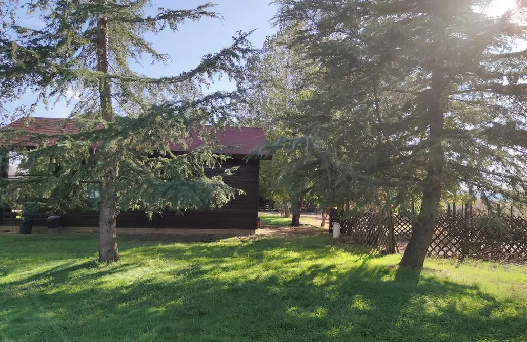 Cabaña en los Árboles Madrid Cabaña Rural en Castilla La Mancha para 4 personas 1