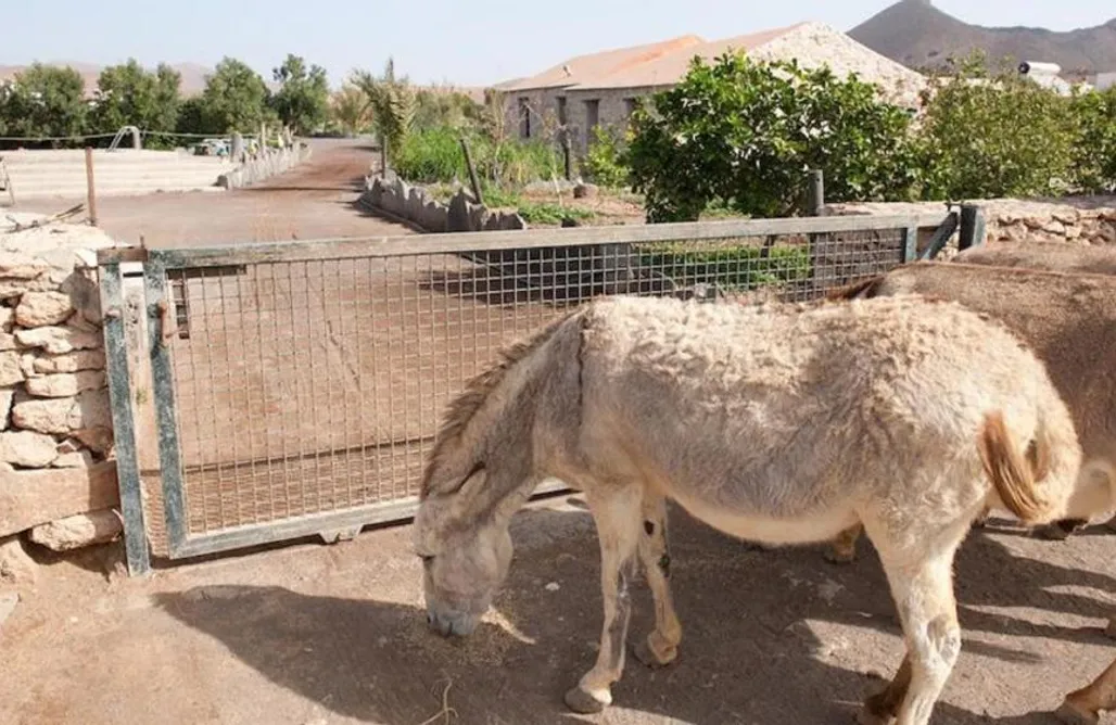 Agroturismo La Gayría AlohaCamp