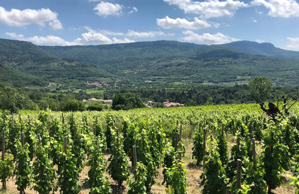 Hébergement AlohaCamp Gite Les Perrières Lodévois-Larzac nature & vignoble 5