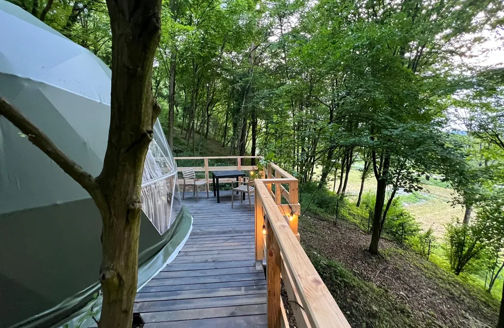 Glamping Nałęczów Na Skraju Lasu - Glamping 3