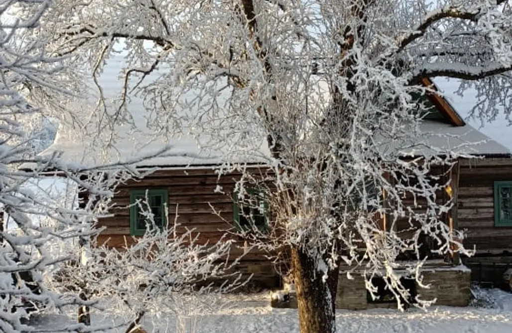 noclegi AlohaCamp Nasza Polana 5