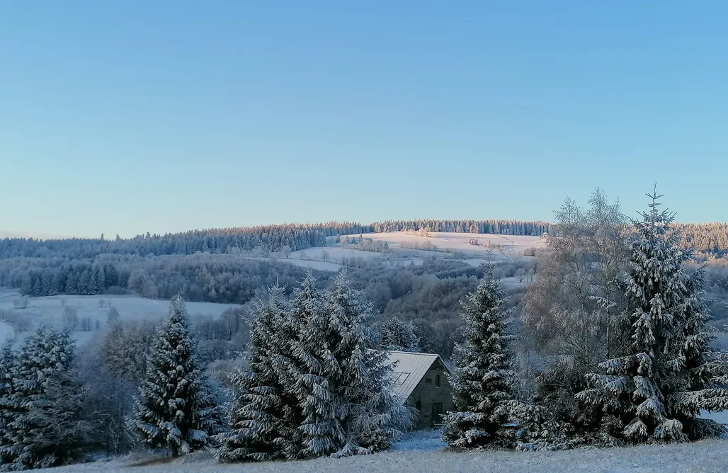 alojamientos AlohaCamp Gościniec Śliwkowy Sad 1
