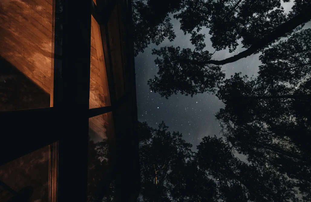 AlohaCamp ForRest Cabin 50, z sauną 1