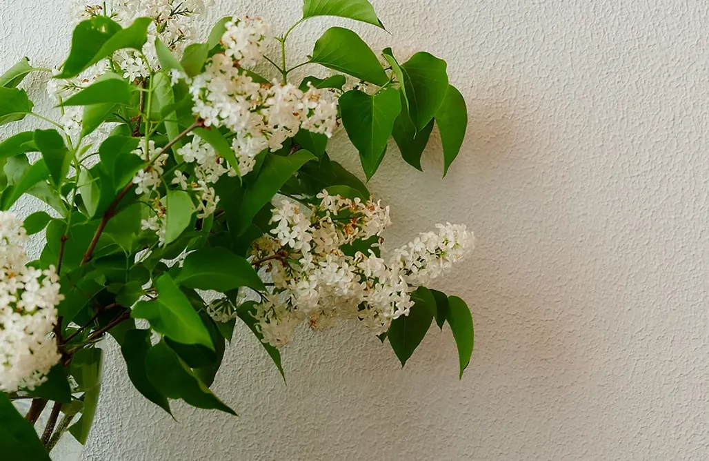 AlohaCamp Pokój Lato 4