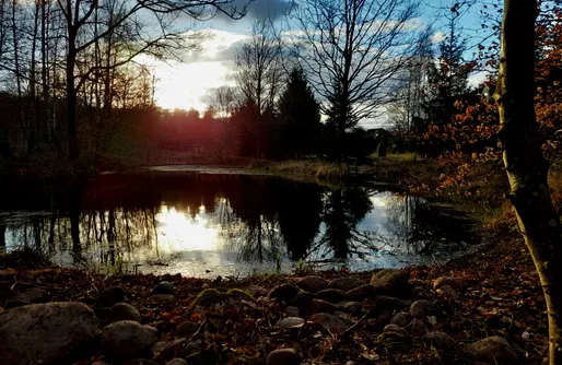 Zdjęcie obiektu Miejsce Kamperowe - Camping w sercu Kaszub