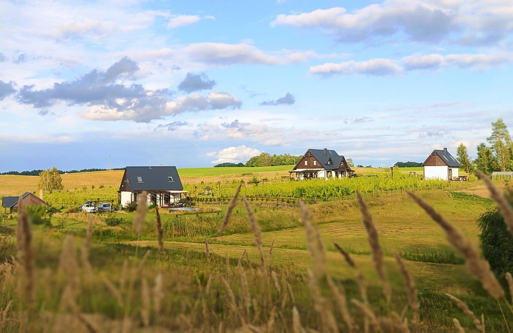 noclegi AlohaCamp Winnica Mitumi 1