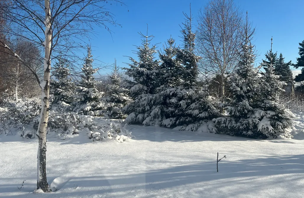 AlohaCamp Cudne Manowce 76 1