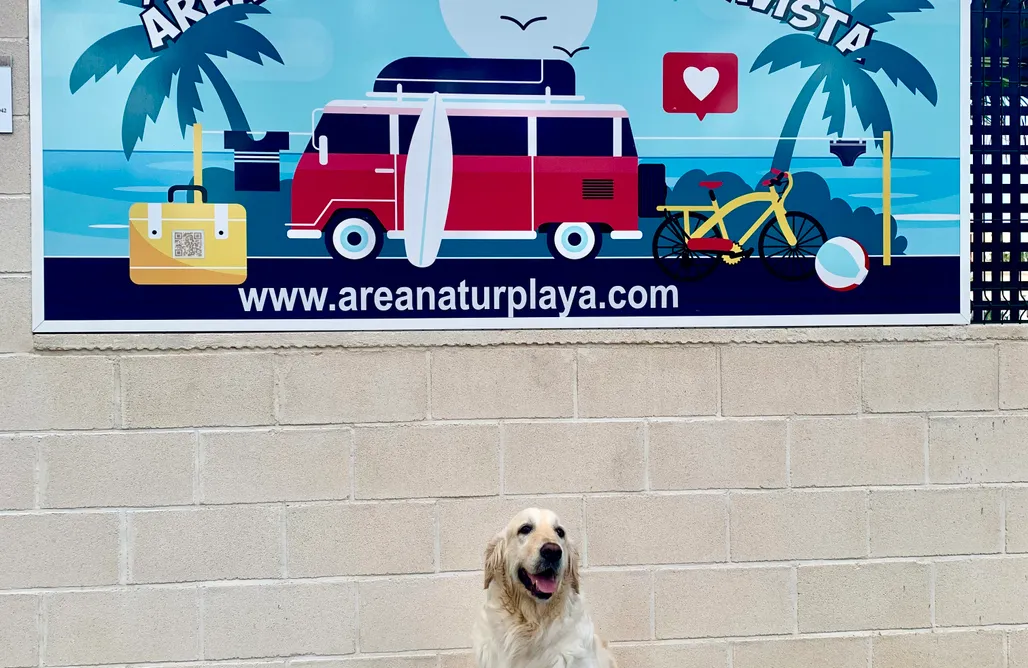 AlohaCamp Area Natur Playa  4