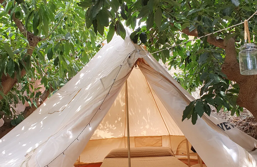 Hotel Burbuja Alicante Eco Glamping el mirador BIO tropic 3