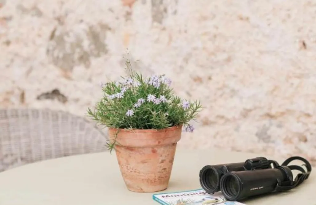 alojamientos AlohaCamp Ca l'Andreu Ecoturisme 5