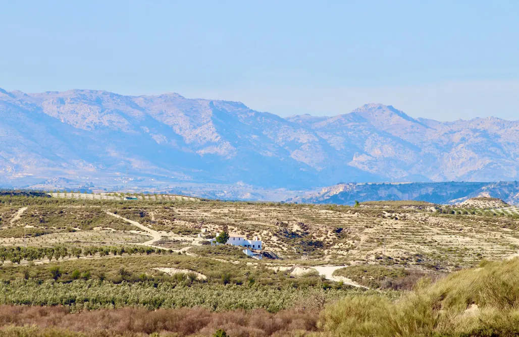 alojamientos AlohaCamp Las Dunas Caves: Granado 5