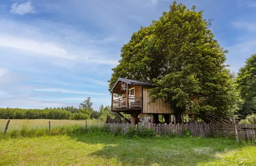 Zdjęcie obiektu Domek na drzewach