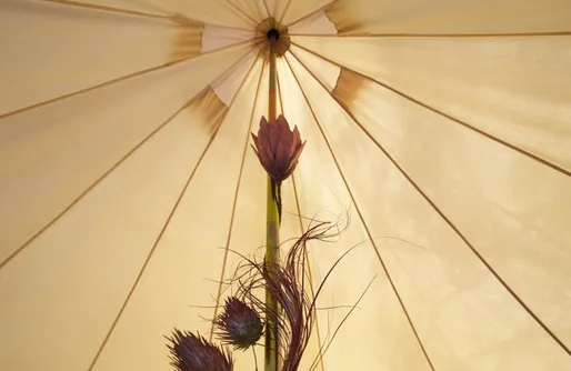 Imagen de Glamping Madreselva