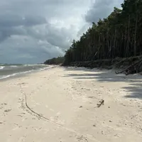 Ilona host Natura Apartamenty