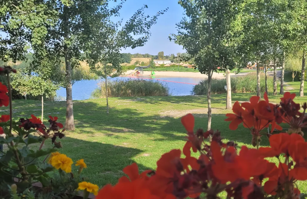 AlohaCamp accommodation Miejsce kamperowe i namiotowe - Camp & Rest Gacki Podkowa 3