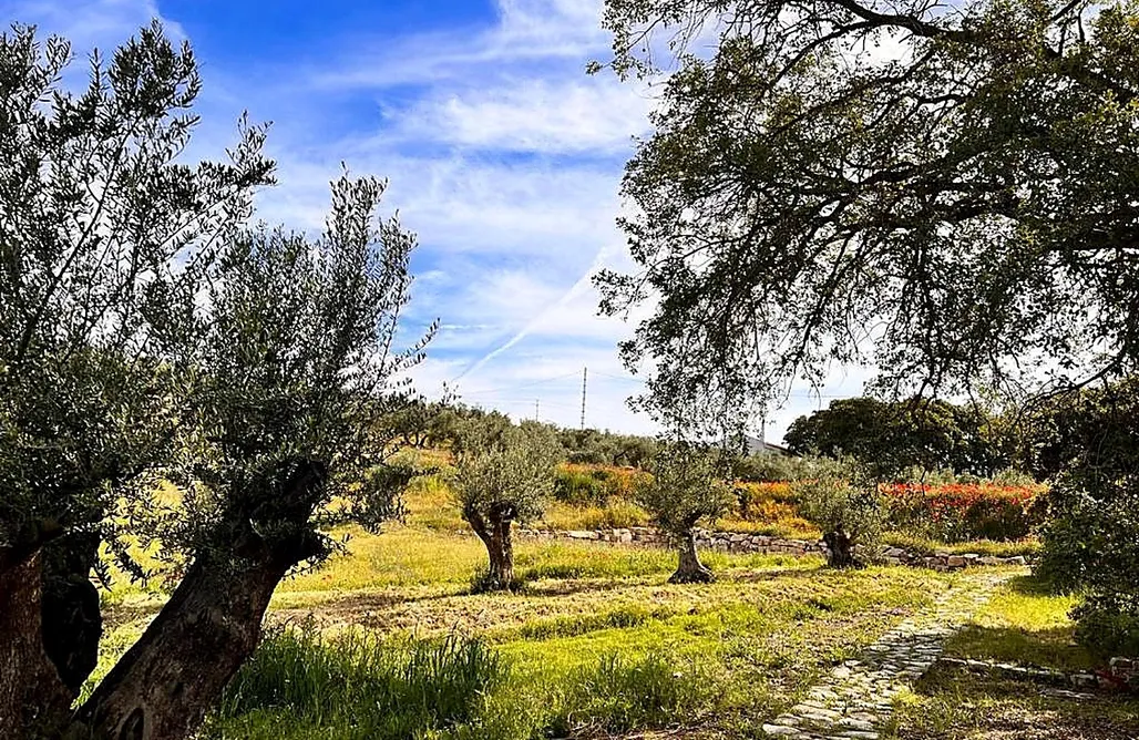 Holiday Villas in Spain with Private Pool Villa Rural El Desbarbado 3