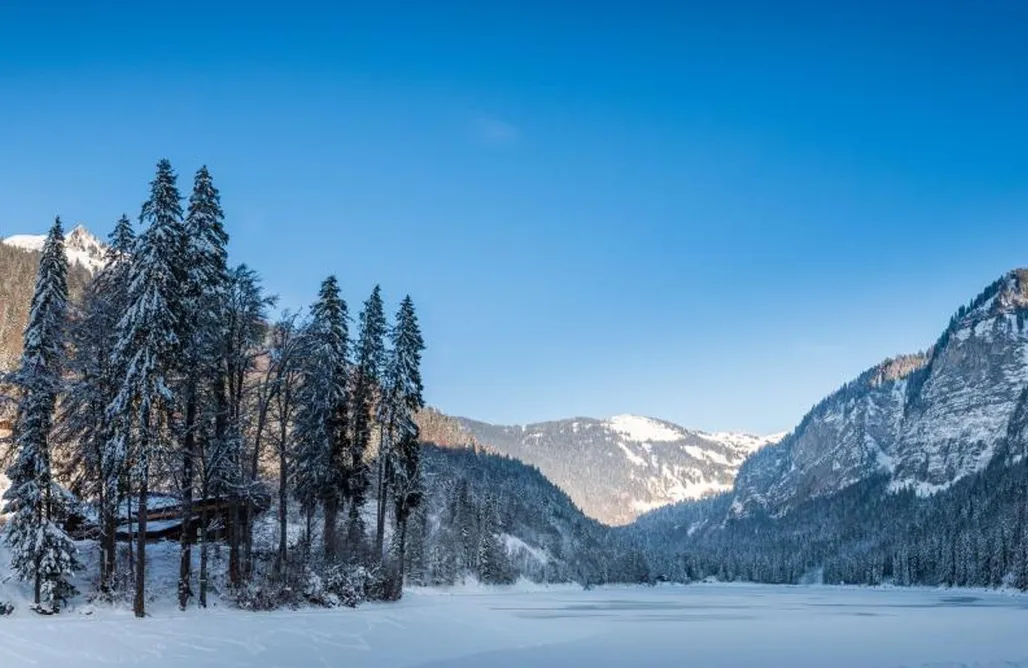 Le Petit Rêve - Lac de Montriond AlohaCamp