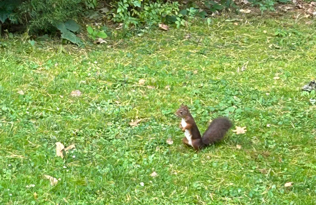 AlohaCamp Reset Bieszczady 1