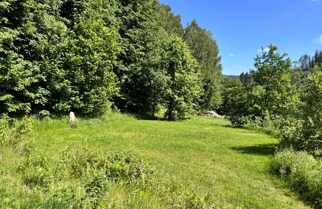AlohaCamp F7; Miejsce na mniejszy kamper lub namioty z dostępem do prądu (Place for a smaller camper/caravan incl. electricity)  1
