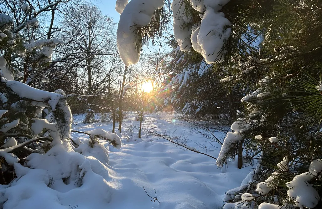 noclegi AlohaCamp Masuria Warsaw 5