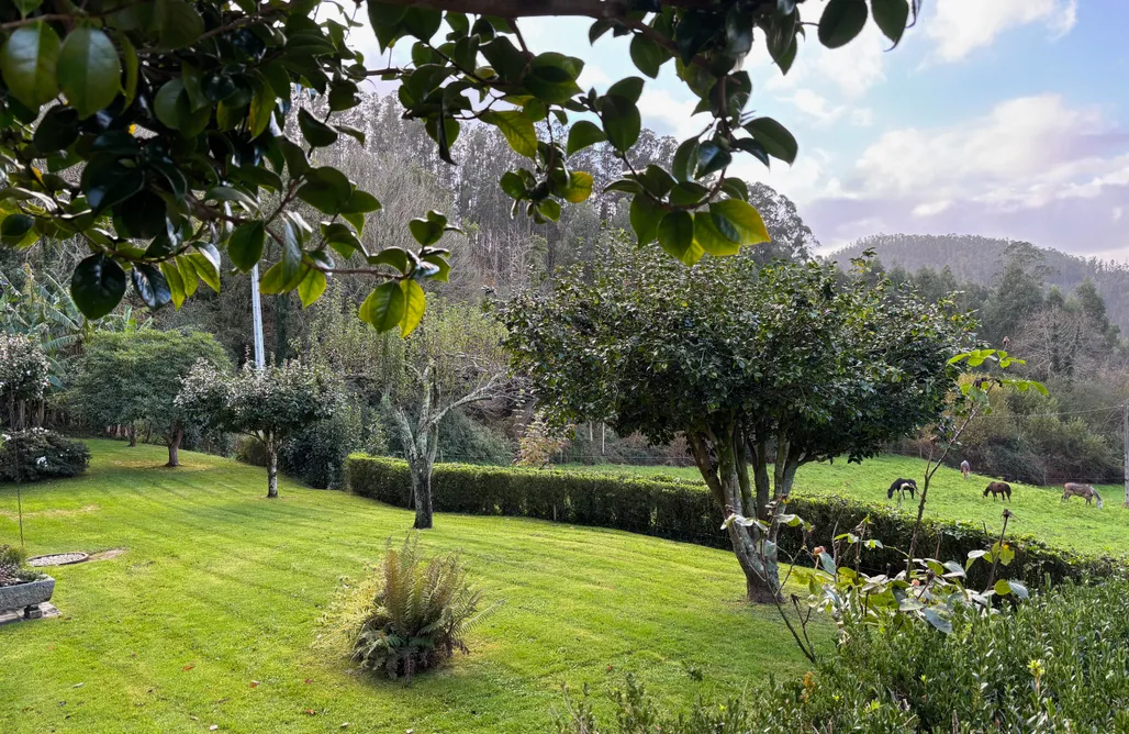 AlohaCamp Habitación O Cuarto 1