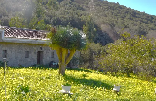 Imagen de Casa Rural La Gustoza La Negrita