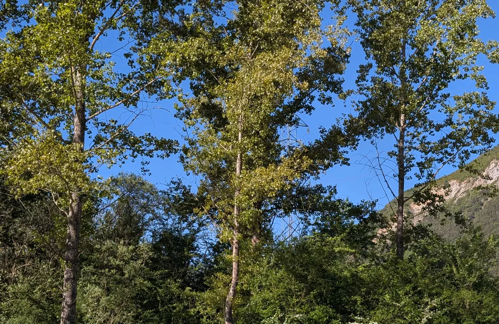 Fin De Semana Romántico Catalunya Camper Van en Barcelona: Nomad4 Esterri 3