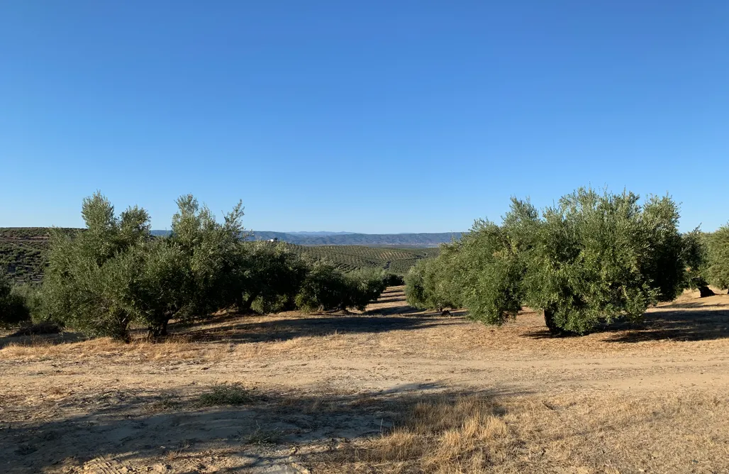 AlohaCamp La Biodiversa - The Farm 1