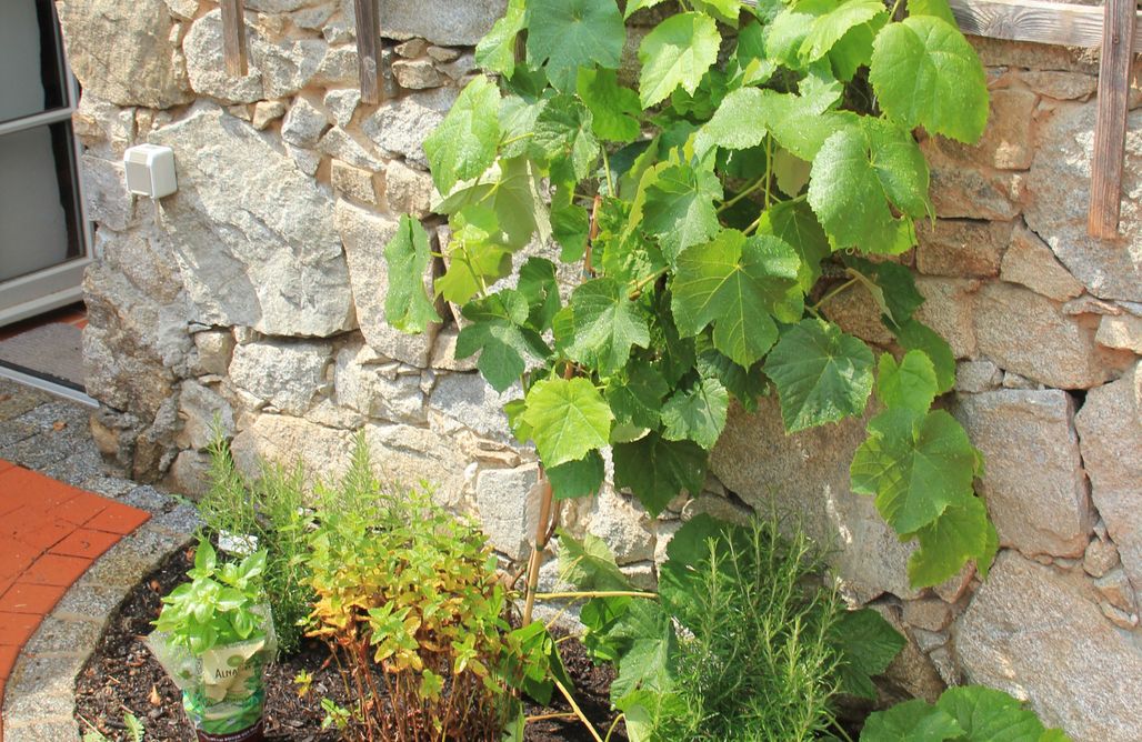 Unterkunft AlohaCamp Apfelscheune Cannewitz, Malschwitz 1