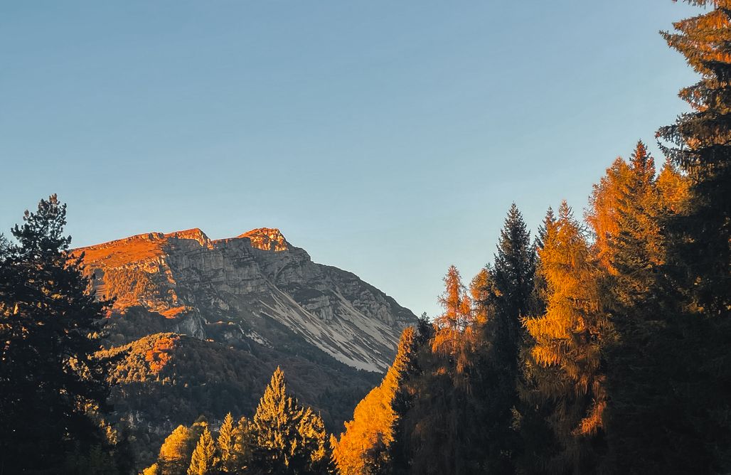 AlohaCamp Starsbox Trentino Forest Camp 4