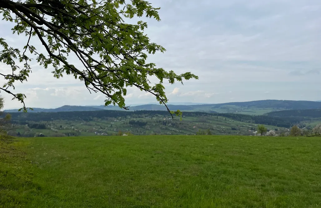 AlohaCamp Antracytowe Domki 1