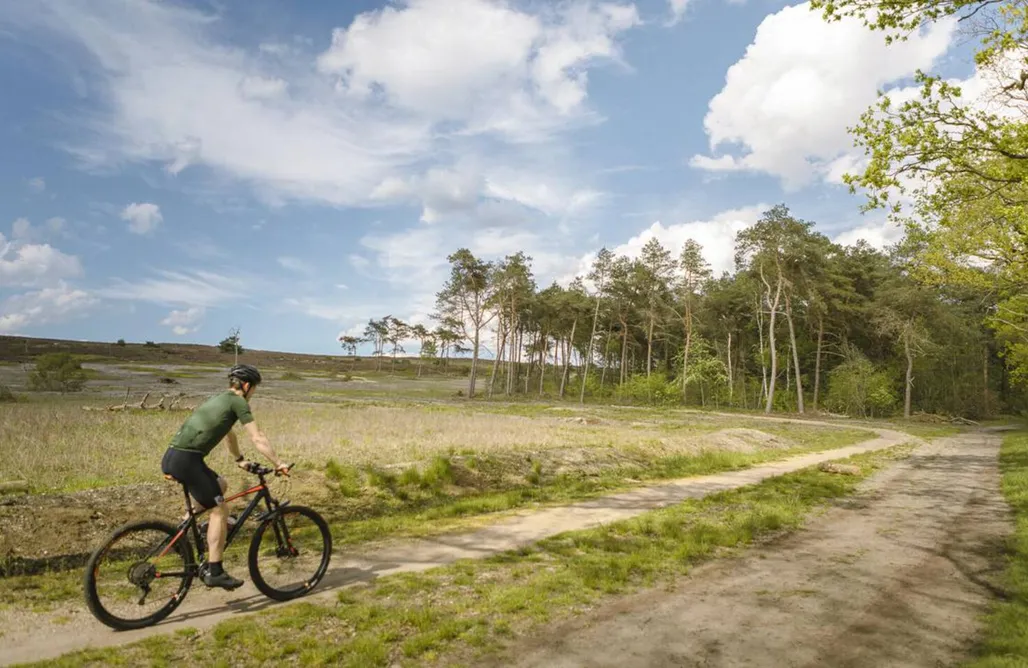 Unterkunft AlohaCamp Lamele Omen 1