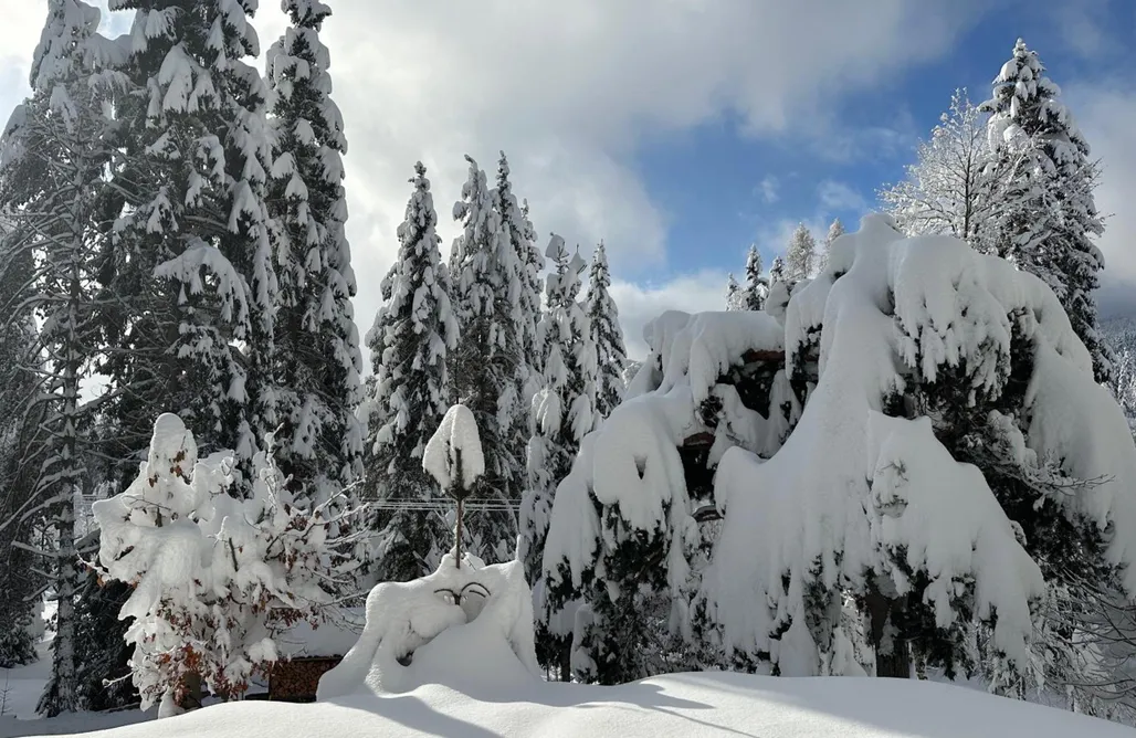 ubytování AlohaCamp Haus im Wald 1
