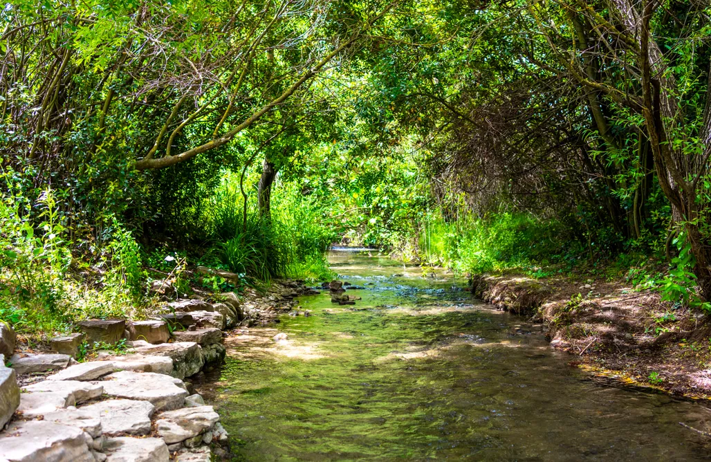 alojamientos AlohaCamp Cinco Lunas Retreat: Oasis & Conscious Guesthouse  1