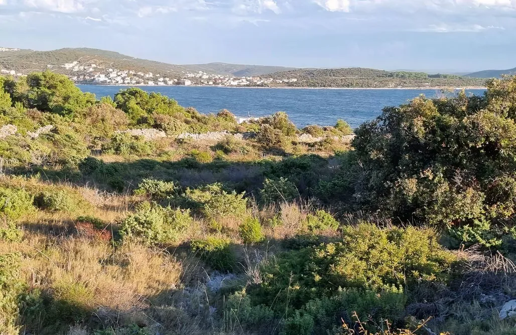 Alloggio AlohaCamp Punta Planka Premium Apartment  1