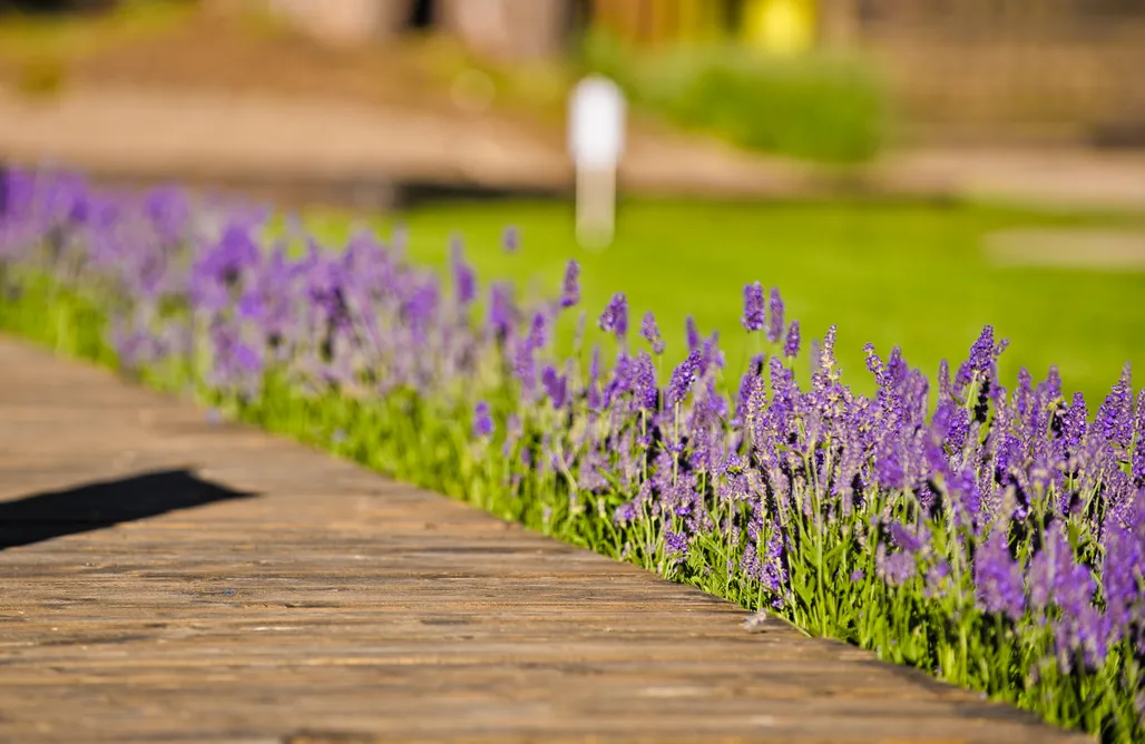 noclegi AlohaCamp Domki na Brackiej 5
