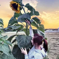 Angelika użytkownik