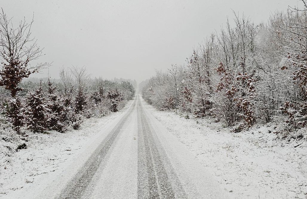 AlohaCamp accommodaties Leśne Zacisze 2 | Domek sauną i balią w cenie 1