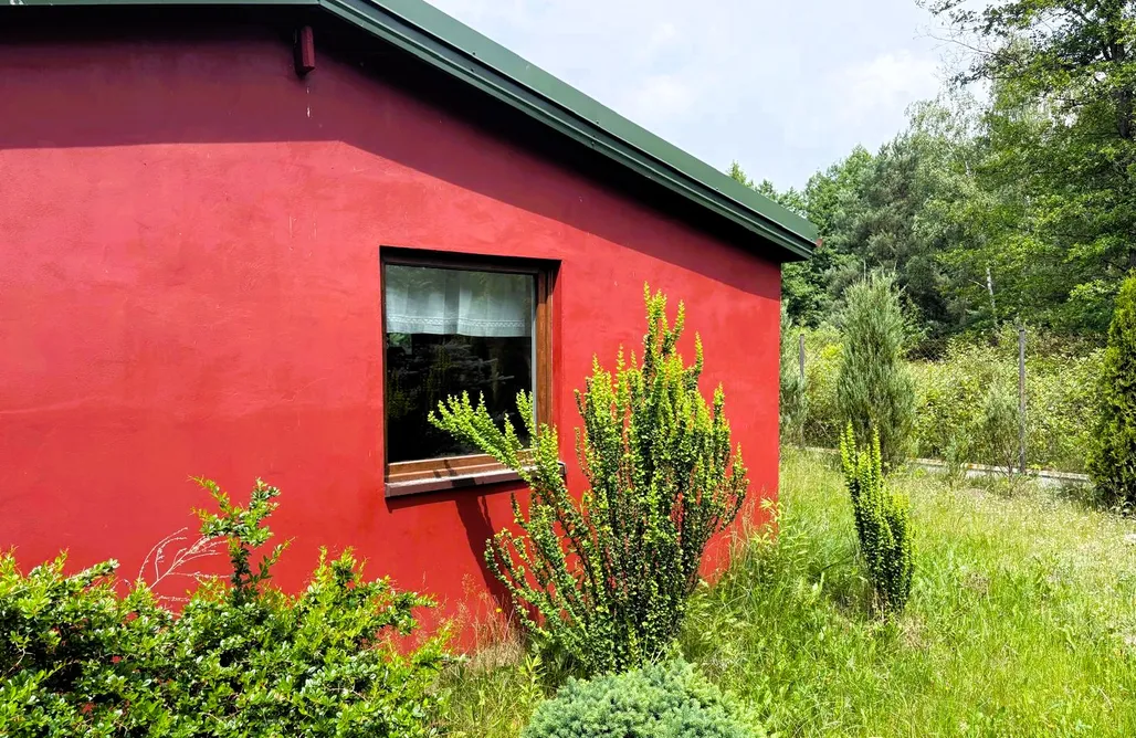 AlohaCamp accommodation Burgundy Corner on the Edge of Bolimów Forest 1