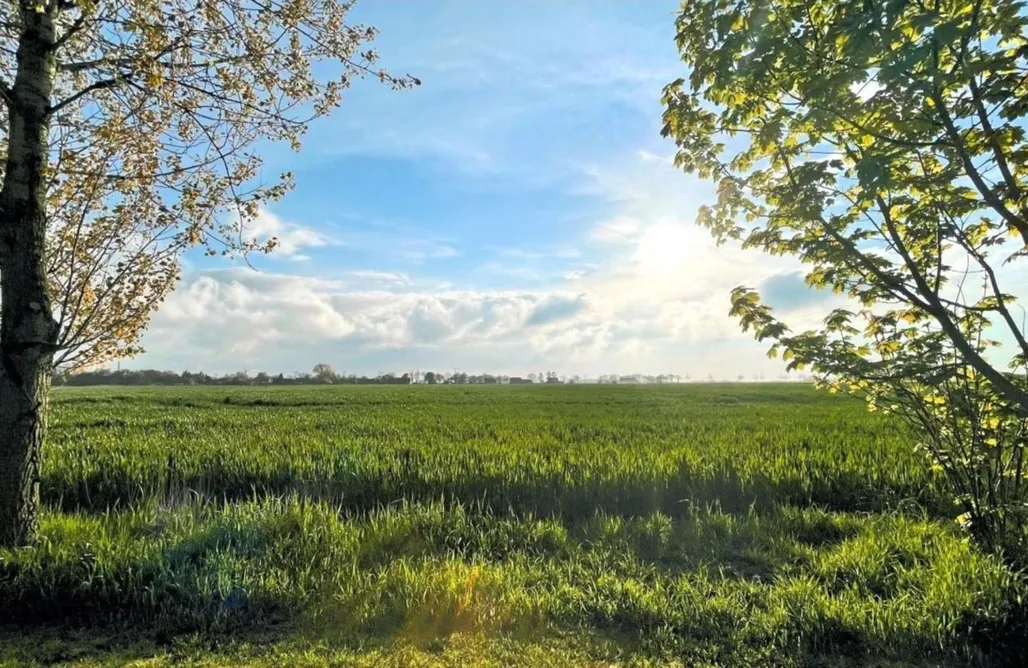 Ferienhaus direkt am Strand Drei Tage am Meer - Am Giebel (Wohnung 1) 3