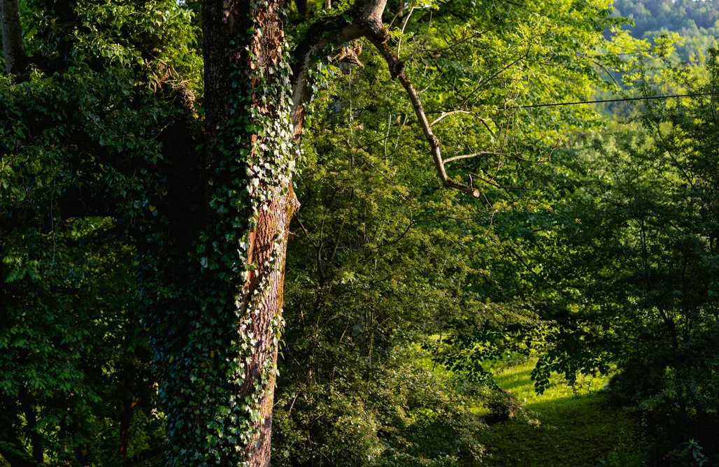 noclegi AlohaCamp . 3