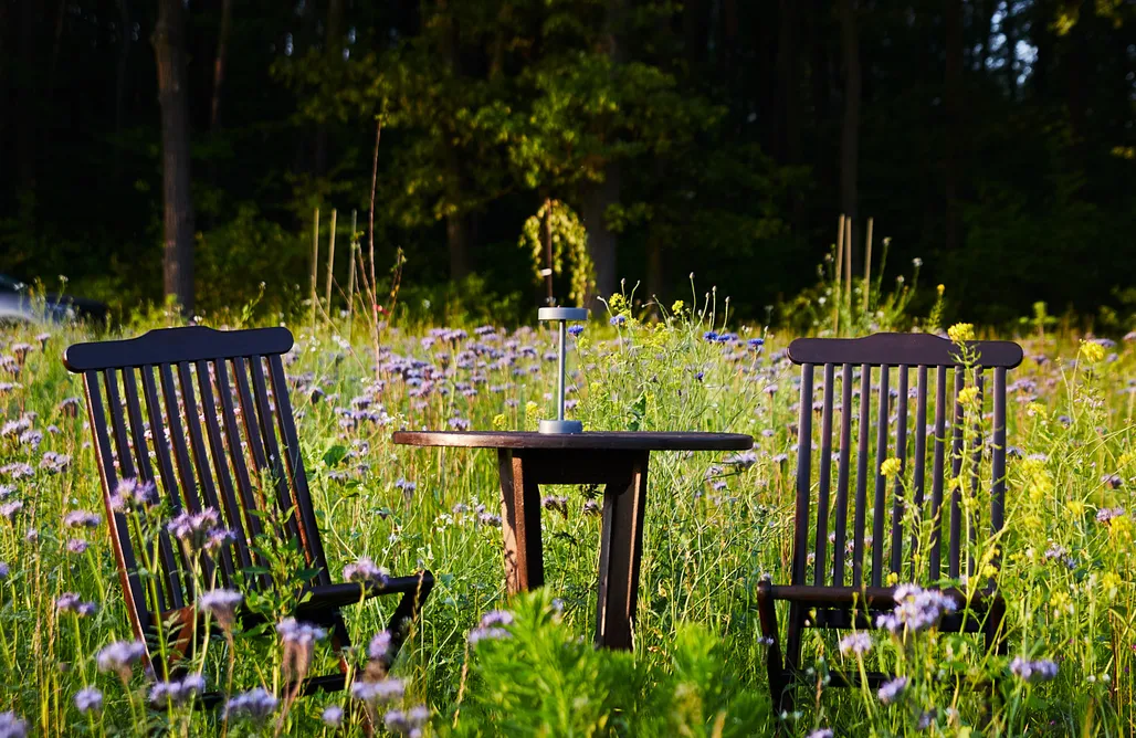 Czarnocin noclegi Bosco glamping 1