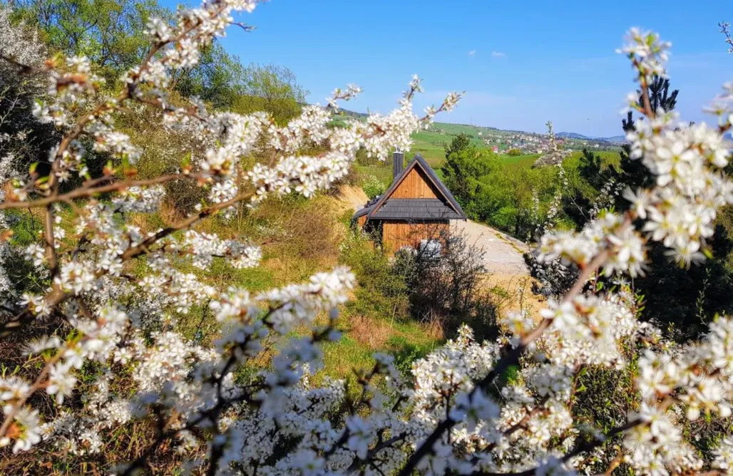 noclegi AlohaCamp Osada Knurów 1