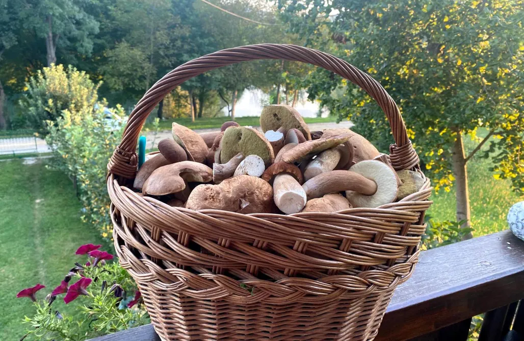 Alloggi AlohaCamp Kuca Oaza 1