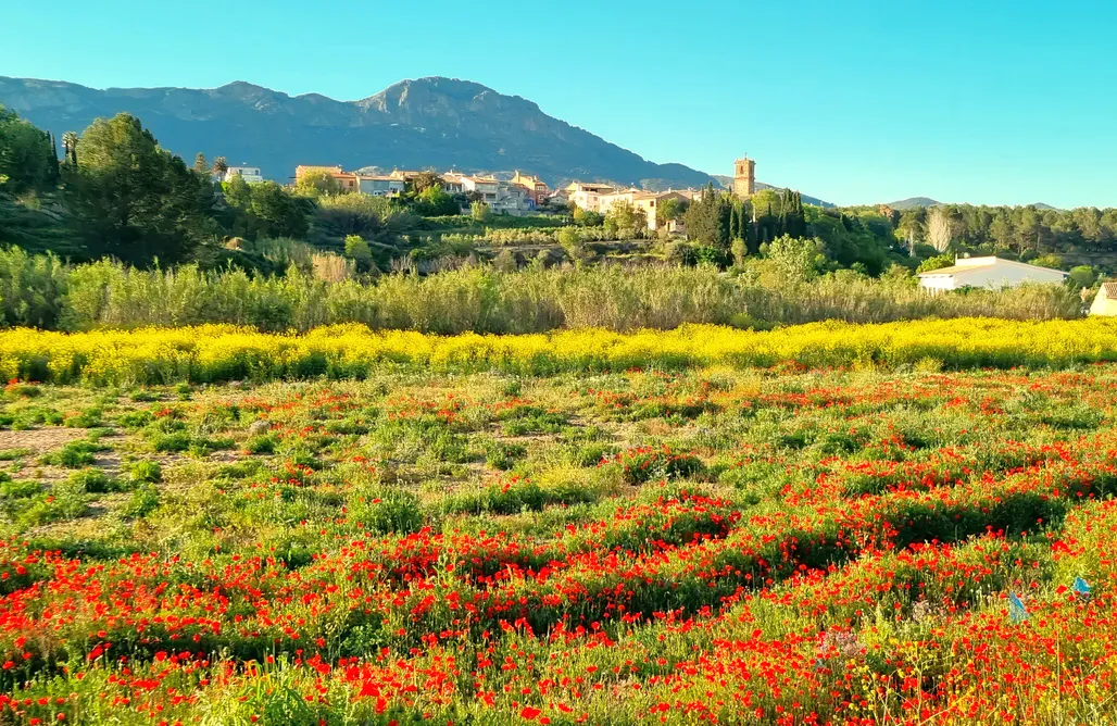 Alojamiento en Aielo de Malferit Casa Lia 3