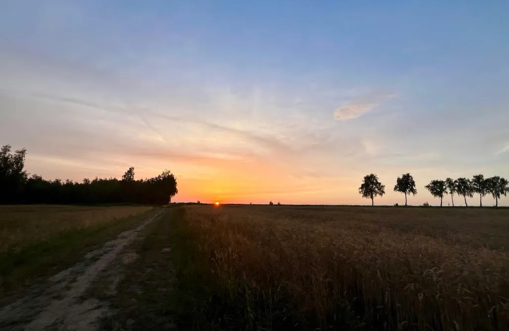 AlohaCamp Siedlisko Przylesie 1