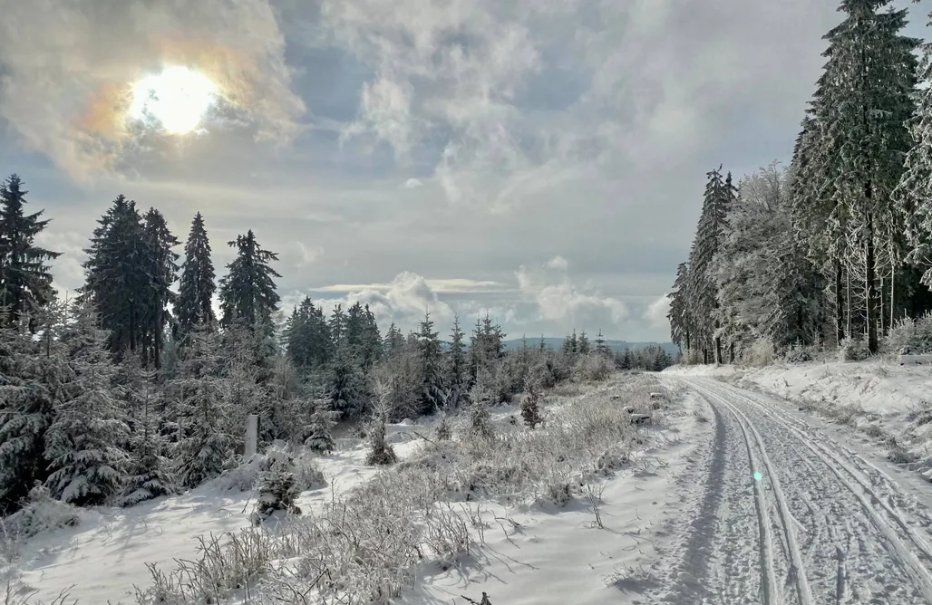 Unterkunft AlohaCamp Ferienhäuser Feuerzauber 5